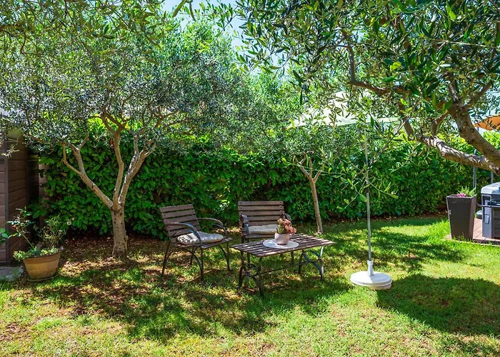 3 Bedroom Lovely In *